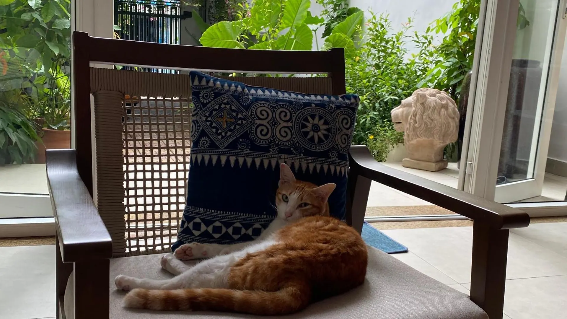 Notre Maison 5 - 63A Nguyen Cu, Thao Dien Ho Chi Minh City