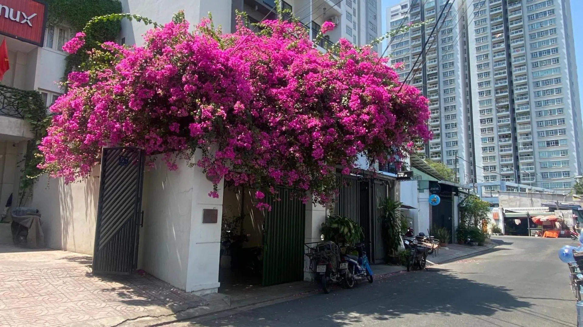 Homestay Notre Maison 5 - 63A Nguyen Cu, Thao Dien Ho Chi Minh City
